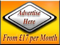 Advertise Auction
